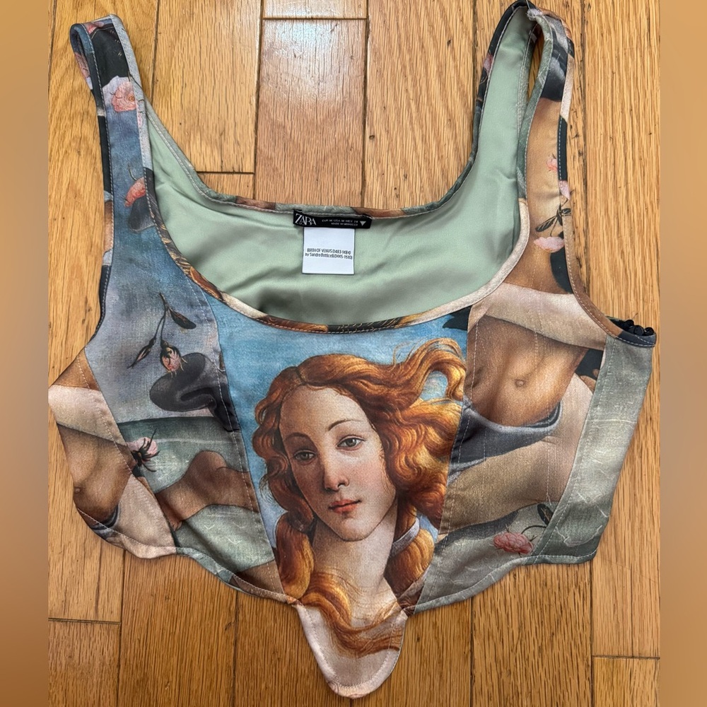 Zara Multicolor Renaissance Art Print Crop Top
